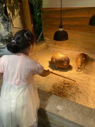 -Zoolung Zoolung动物主题公园(海信广场店)