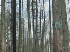 -山王坪喀斯特国家生态公园