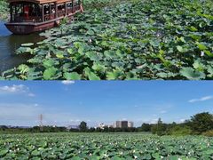 -江门古劳水乡旅游区