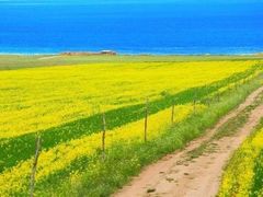 景点-青海湖国家重点风景名胜区