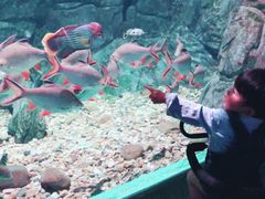 -常州海昌海洋探索馆