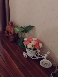 -苗方清颜·祛痘皮肤管理