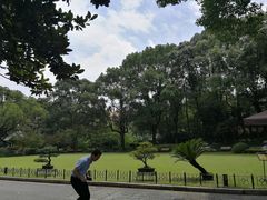-申粤轩酒楼·三十年粤菜经典(丁香花园店)