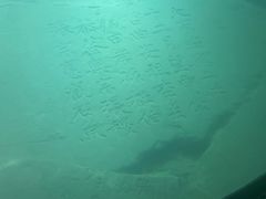 -白鹤梁水下博物馆