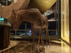 -大连君悦酒店·星海湾壹号Dalian·Dalian(星海广场店)