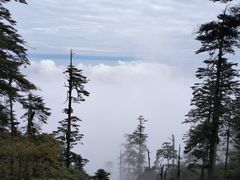 -瓦屋山景区