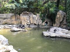 -燕塞湖鸟语林景区