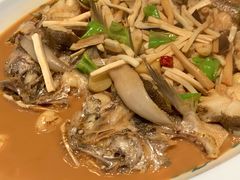 家烧鮸鱼-荣府宴(南阳路店)