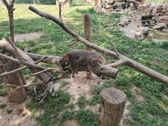 -石家庄市动物园