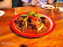 -柴窝堡22号辣子鸡·传承新疆菜