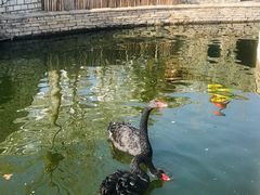 -南宫五洲植物乐园