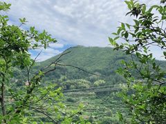 -杨家堂村