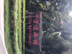 -呀诺达热带雨林
