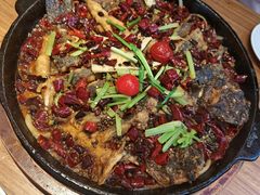 -老板恋上鱼(恒隆广场店)