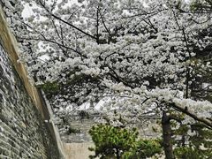 -元大都城垣遗址公园