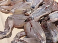 -铭记蛙小仙·活蛙畅享(CBD万达广场店)