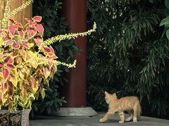 -李叔同故居纪念馆