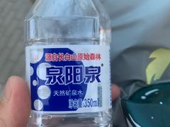 -北京长白山国际酒店(鸟巢店)