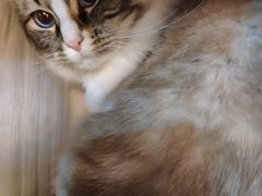 -白兔子密室(长寿路店)