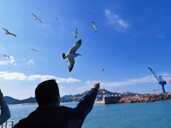 -海驴岛(荣成市)