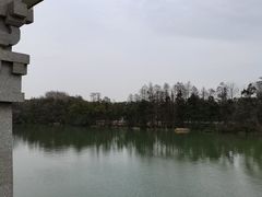 -东湖落雁景区