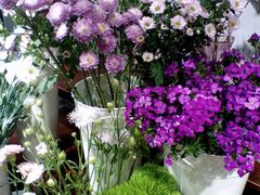 -何兮花店·气球派对鲜花店(马桥银春路万科城店)