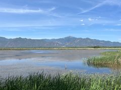-野鸭湖国家湿地公园