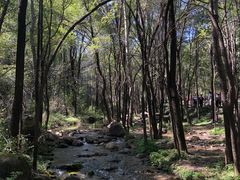 -玉渡山自然风景区