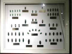 -上海昆虫博物馆