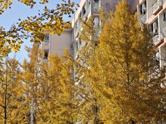 -浙江农林大学(东湖校区)