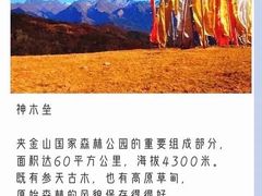 -硗碛藏寨·神木垒景区