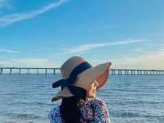 -宝安西湾红树林湿地公园