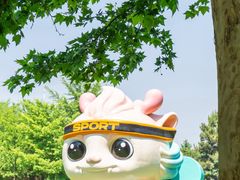 -朝阳公园