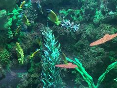 -海合安青岛极地海洋公园