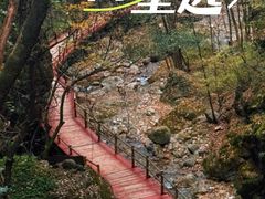 -牛背梁国家森林公园