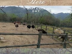 -西安秦岭野生动物园