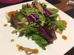 -百好乐宠物友好餐厅(朝外大街店)