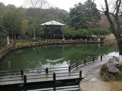 -白马涧龙池景区