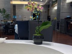 -半岛宴·湛江精品菜(蛇口广场店)