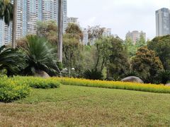 -广州珠江公园