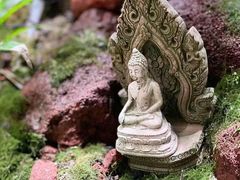 -泰悠谷养生SPA(世茂商业街店)