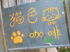 -猫色咖啡·猫咖