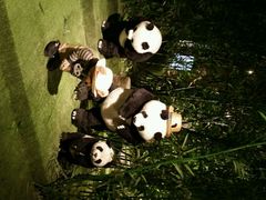 -成都泰迪熊博物馆