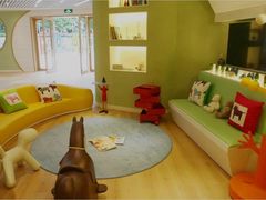 -上海青草地幼儿园