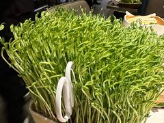 -海底捞火锅(长宁路龙之梦店)