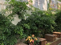-云里小坐·小院里·团建·宴请·下午茶(三圣乡店)
