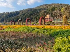 -广州市石门国家森林公园