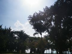 -三亚海棠湾万丽度假酒店