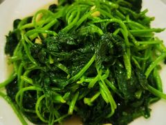 -乡土特色.冷锅鱼.牦牛肉汤锅