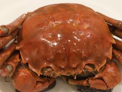 -西湖春天•老字号杭州菜(百汇店)